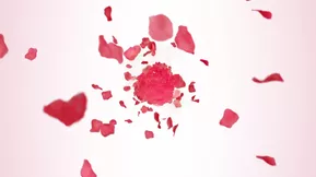 Young woman gives her father a blowjob while having breakfast in bed