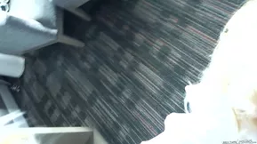 White American girl Addison Avery gets hardcore pussy licking and kissing scene.