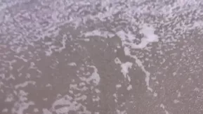 Jordan Carver in hot erotic scenes at sea in 720p