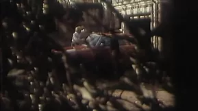 Decent movie with a good protagonist, hardcore sex. Classic French erotica.